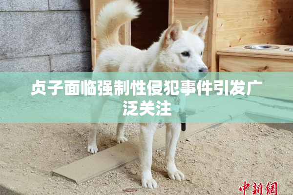 贞子面临强制性侵犯事件引发广泛关注