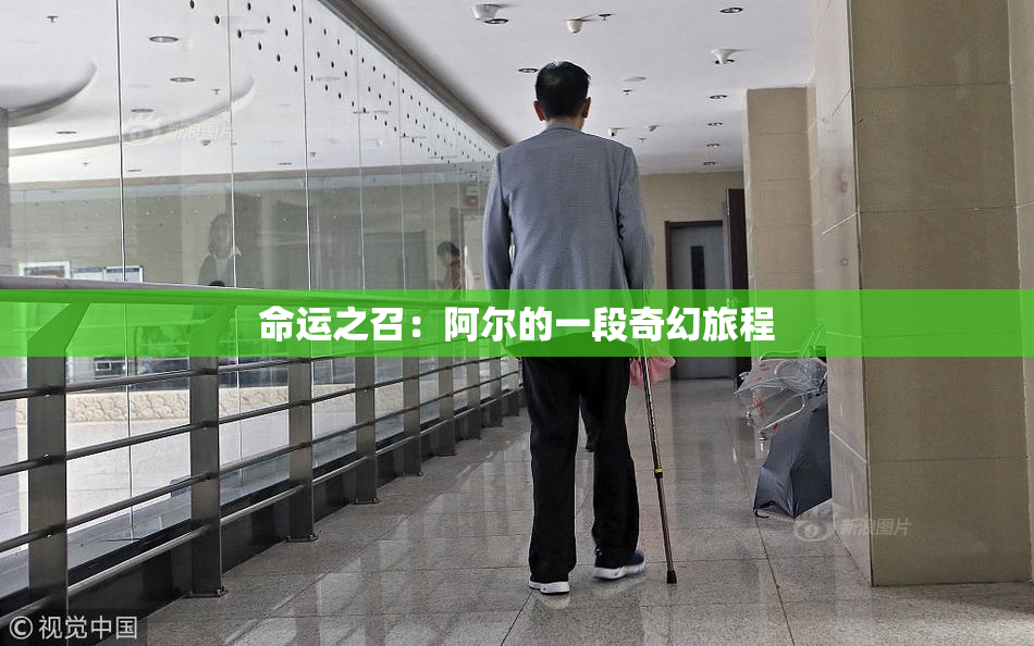 命运之召：阿尔的一段奇幻旅程