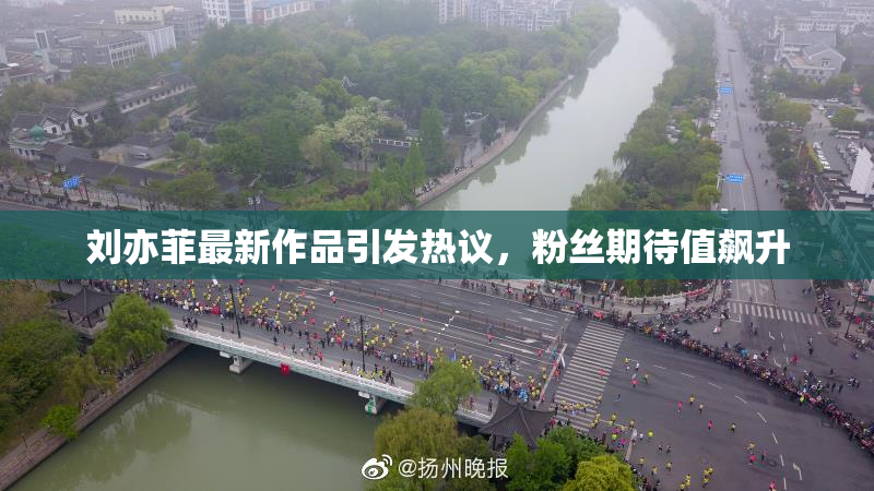 刘亦菲最新作品引发热议，粉丝期待值飙升