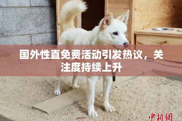 国外性直免费活动引发热议，关注度持续上升
