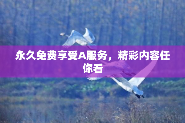 永久免费享受A服务，精彩内容任你看