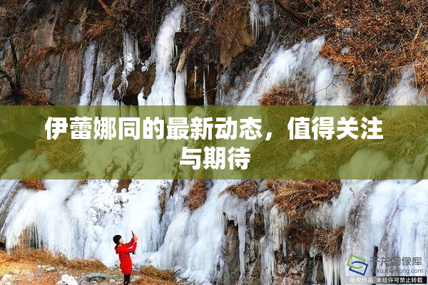 伊蕾娜同的最新动态，值得关注与期待