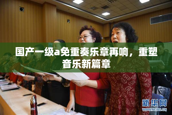 国产一级a免重奏乐章再响，重塑音乐新篇章