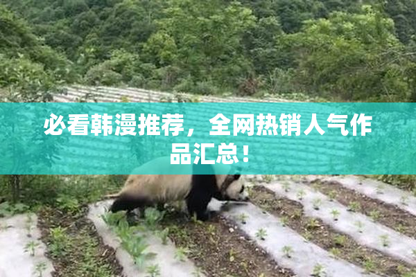 必看韩漫推荐，全网热销人气作品汇总！