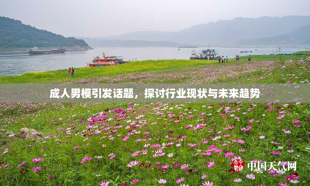 成人男模引发话题，探讨行业现状与未来趋势