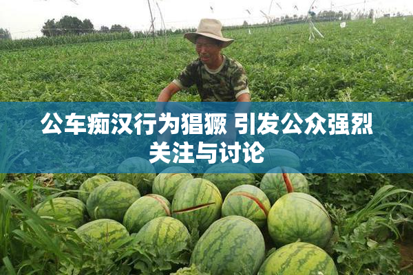 公车痴汉行为猖獗 引发公众强烈关注与讨论