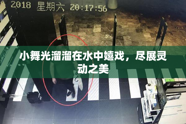 小舞光溜溜在水中嬉戏，尽展灵动之美
