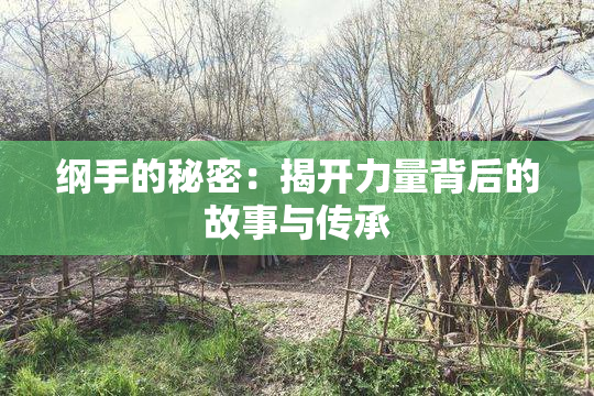 纲手的秘密：揭开力量背后的故事与传承
