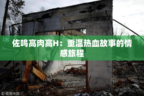 佐鸣高肉高H：重温热血故事的情感旅程