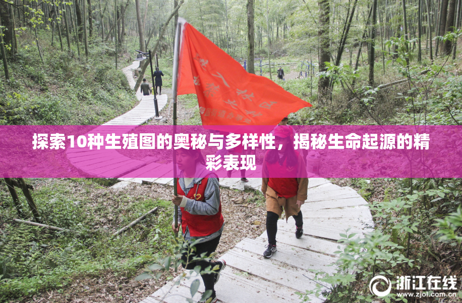 探索10种生殖图的奥秘与多样性，揭秘生命起源的精彩表现