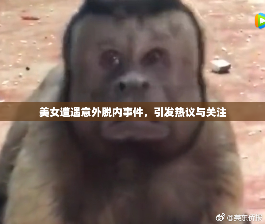 美女遭遇意外脱内事件，引发热议与关注