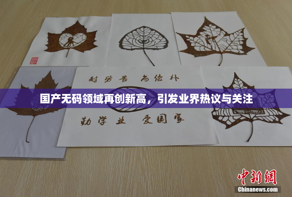 国产无码领域再创新高，引发业界热议与关注