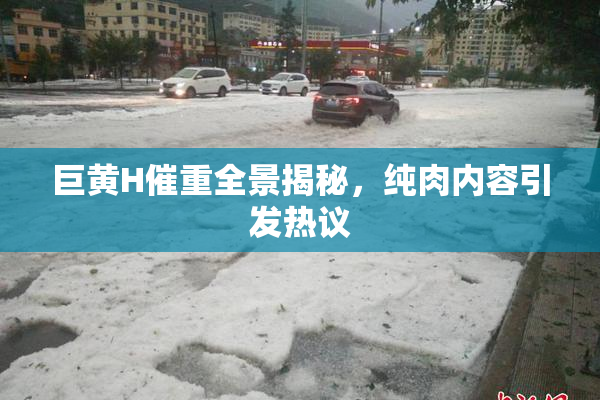 巨黄H催重全景揭秘，纯肉内容引发热议