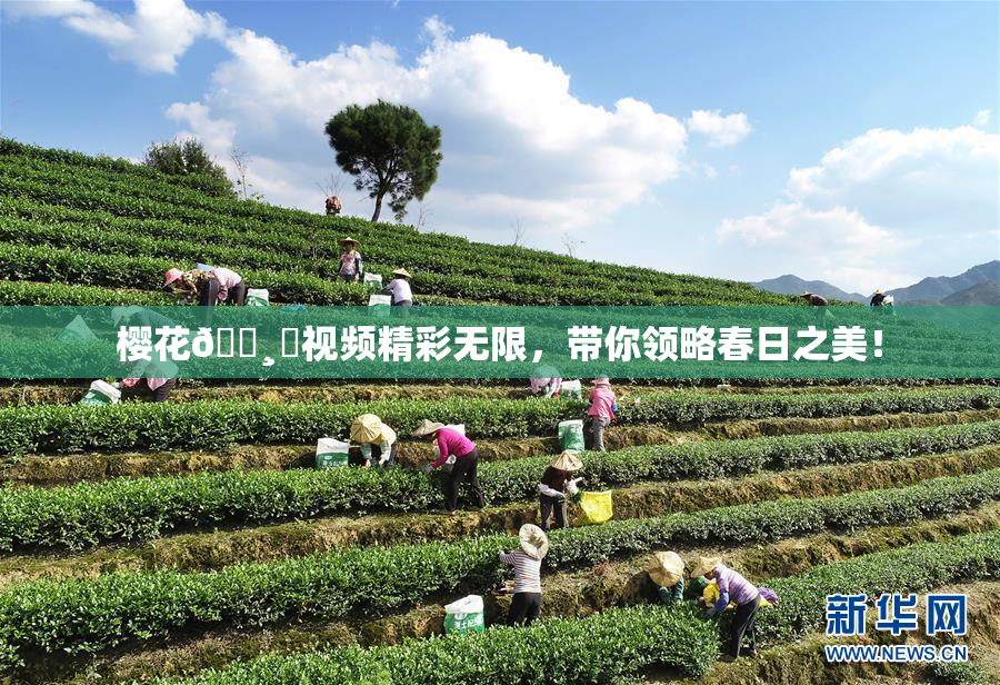 樱花🌸‌视频精彩无限，带你领略春日之美！