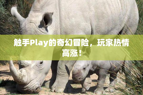 触手Play的奇幻冒险，玩家热情高涨！