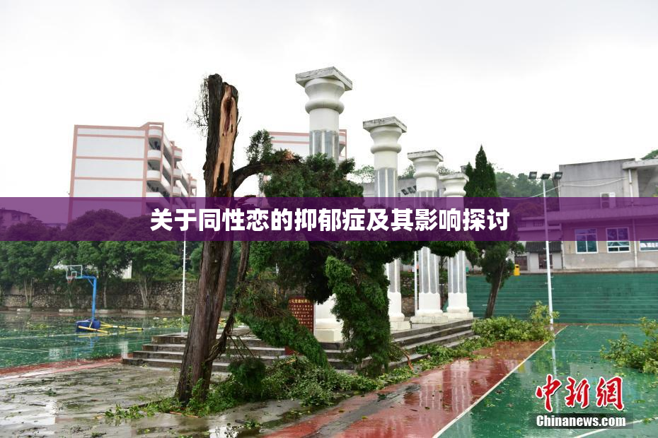 关于同性恋的抑郁症及其影响探讨