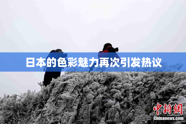 日本的色彩魅力再次引发热议