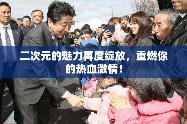 二次元的魅力再度绽放，重燃你的热血激情！