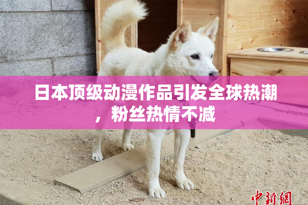 日本顶级动漫作品引发全球热潮，粉丝热情不减