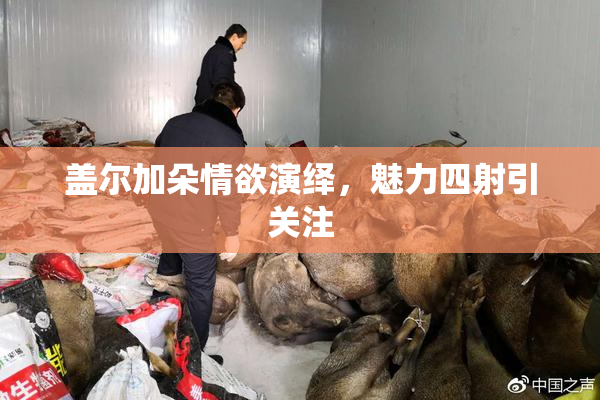 盖尔加朵情欲演绎，魅力四射引关注