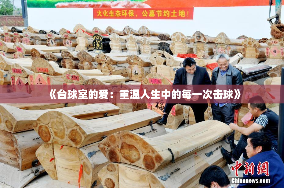 《台球室的爱：重温人生中的每一次击球》
