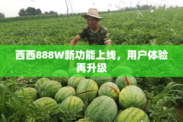 西西888W新功能上线，用户体验再升级