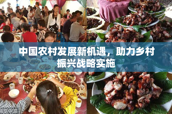 中国农村发展新机遇，助力乡村振兴战略实施