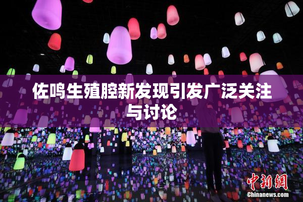 佐鸣生殖腔新发现引发广泛关注与讨论