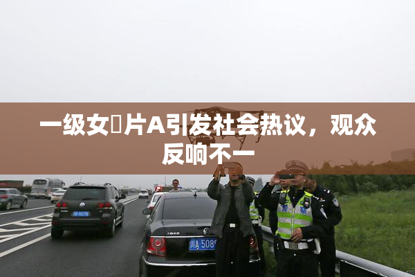 一级女婬片A引发社会热议，观众反响不一