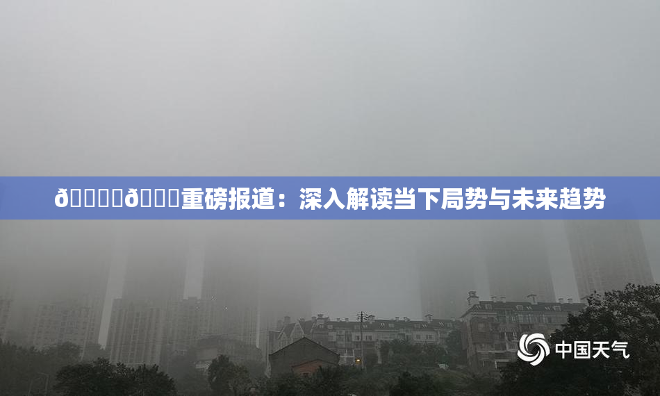 🔞‌🍌重磅报道：深入解读当下局势与未来趋势
