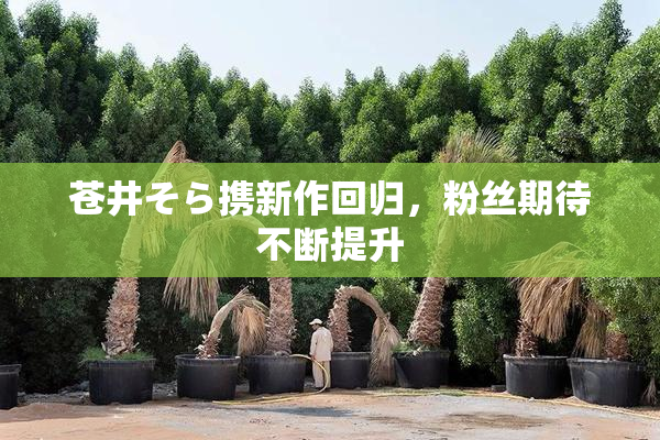 苍井そら携新作回归，粉丝期待不断提升