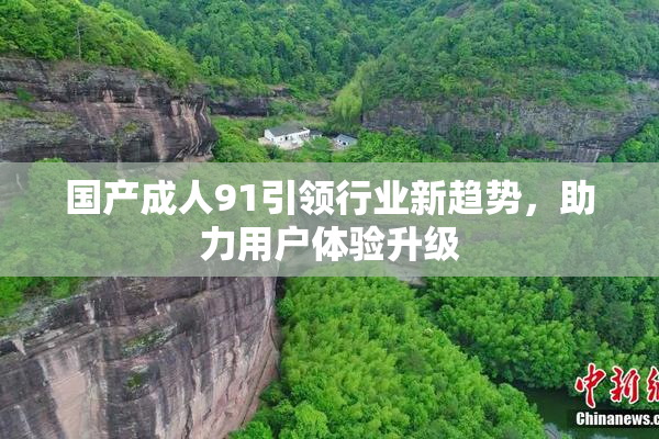 国产成人91引领行业新趋势，助力用户体验升级