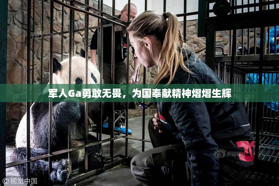 军人Ga勇敢无畏，为国奉献精神熠熠生辉
