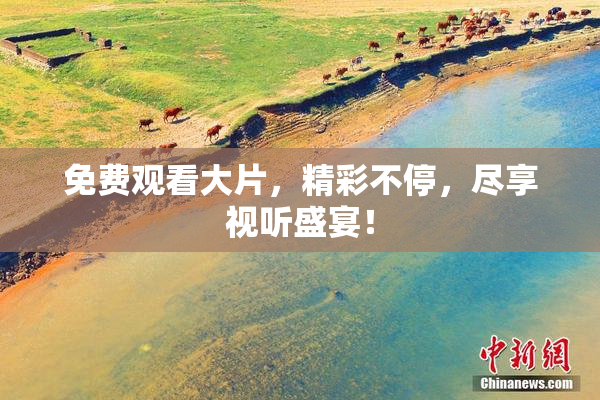 免费观看大片，精彩不停，尽享视听盛宴！