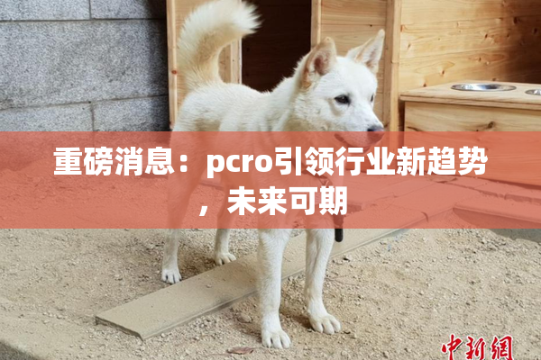 重磅消息：pcro引领行业新趋势，未来可期