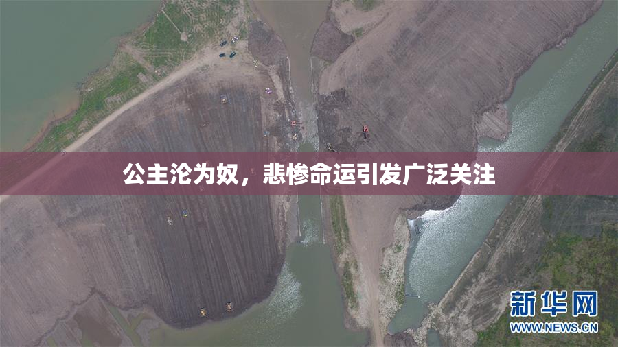 公主沦为奴，悲惨命运引发广泛关注