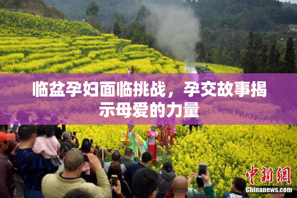 临盆孕妇面临挑战，孕交故事揭示母爱的力量