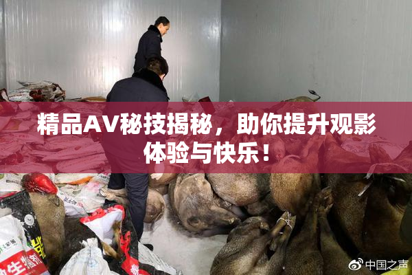 精品AV秘技揭秘，助你提升观影体验与快乐！