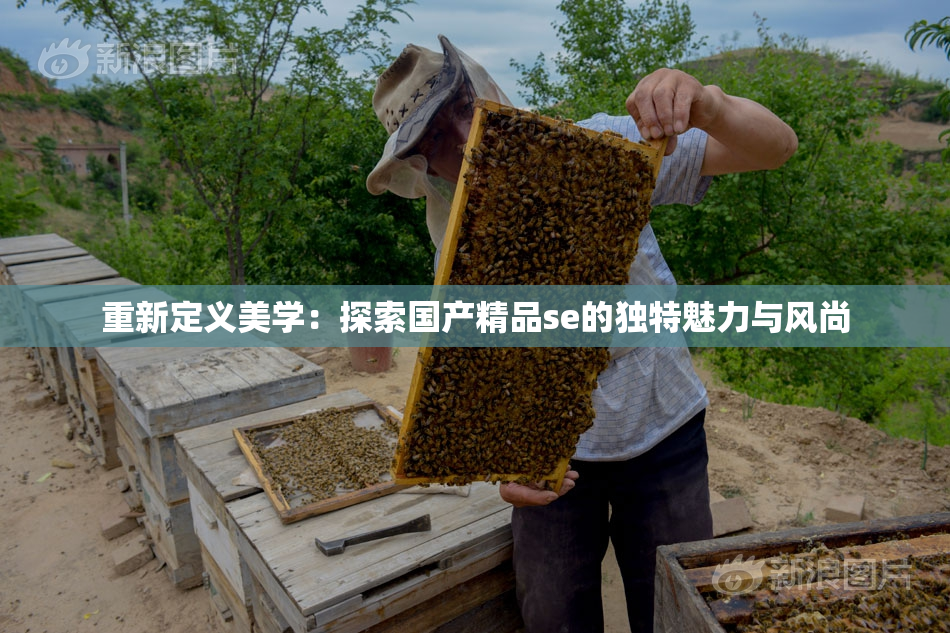 重新定义美学：探索国产精品se的独特魅力与风尚