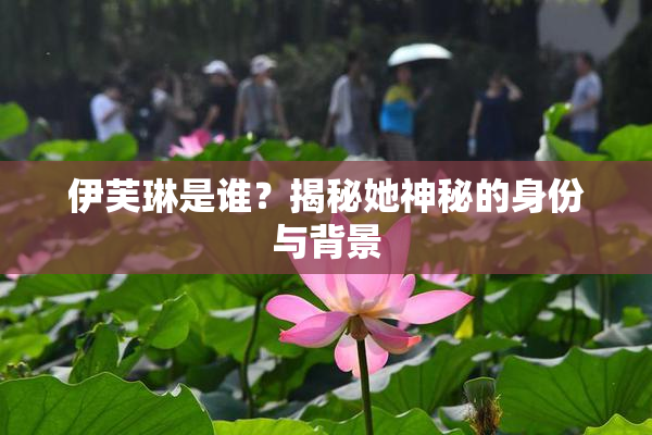 伊芙琳是谁？揭秘她神秘的身份与背景
