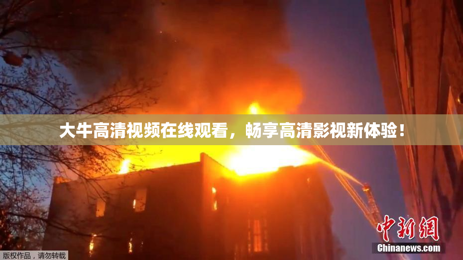 大牛高清视频在线观看，畅享高清影视新体验！