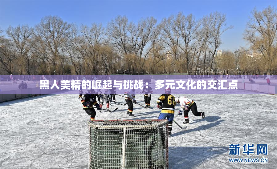 黑人美精的崛起与挑战：多元文化的交汇点
