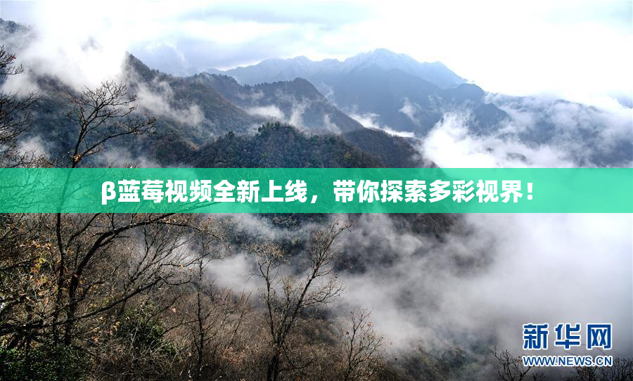 β蓝莓视频全新上线，带你探索多彩视界！