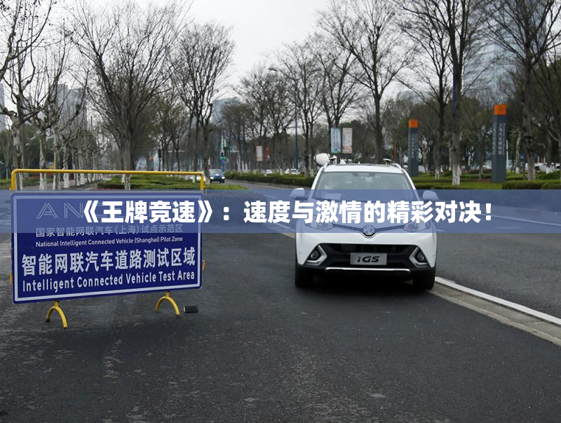 《王牌竞速》：速度与激情的精彩对决！