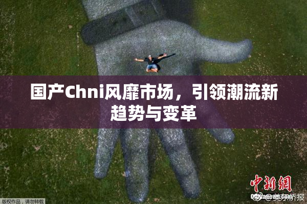 国产Chni风靡市场，引领潮流新趋势与变革