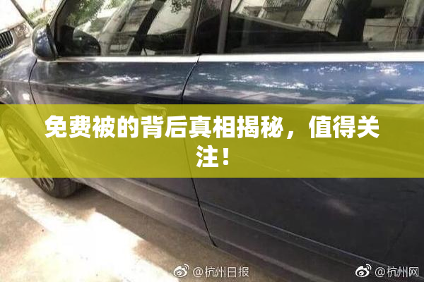 免费被的背后真相揭秘，值得关注！