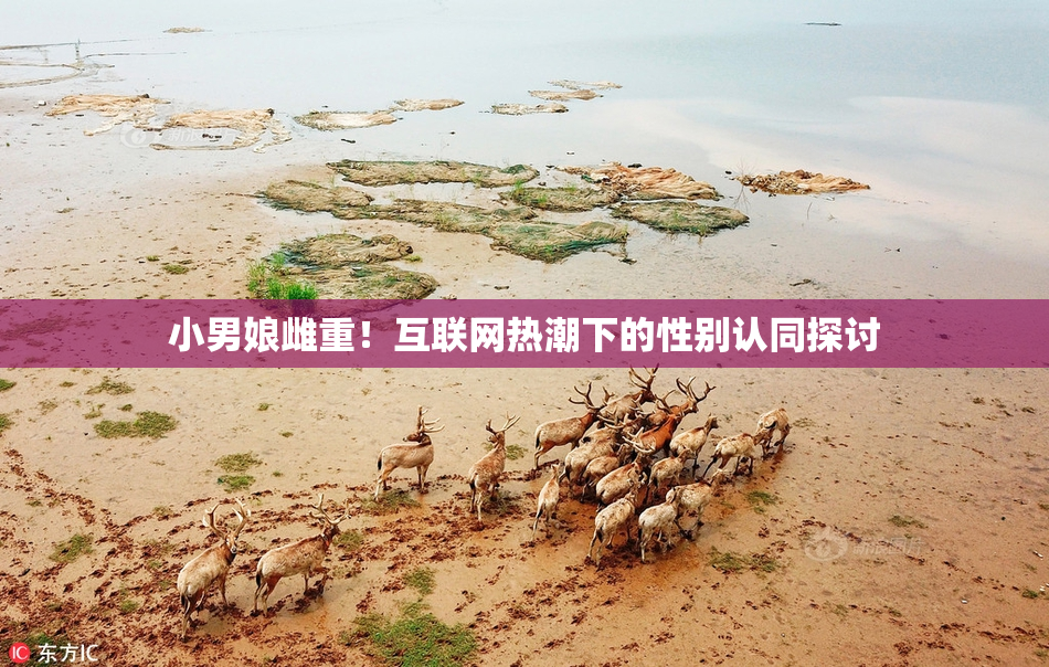 小男娘雌重！互联网热潮下的性别认同探讨