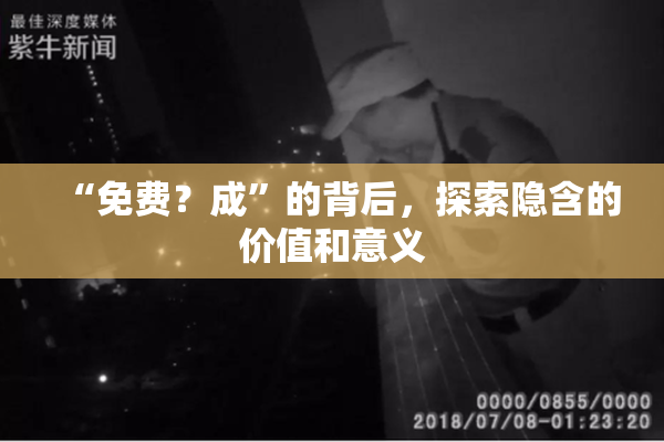 “免费？成”的背后，探索隐含的价值和意义