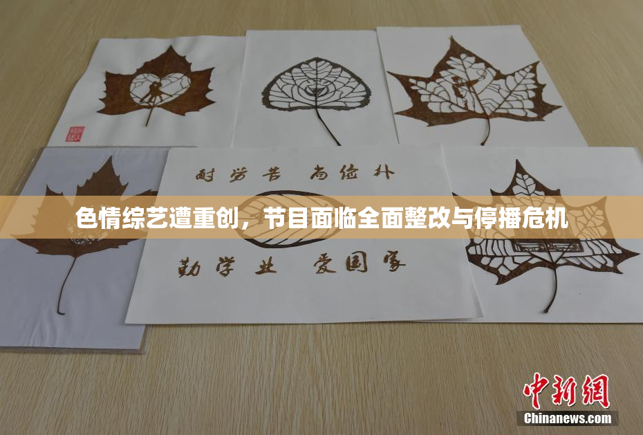 色情综艺遭重创，节目面临全面整改与停播危机
