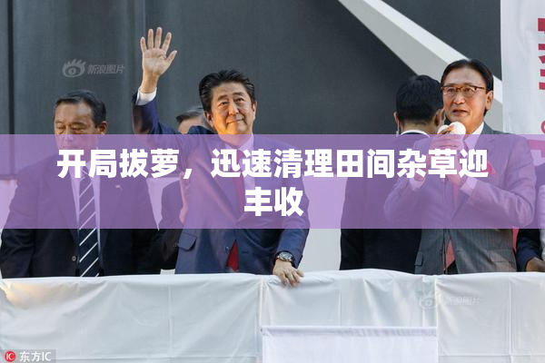 开局拔萝，迅速清理田间杂草迎丰收